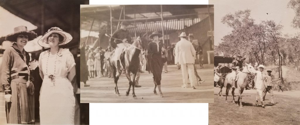 Three photos of Constance and her horses