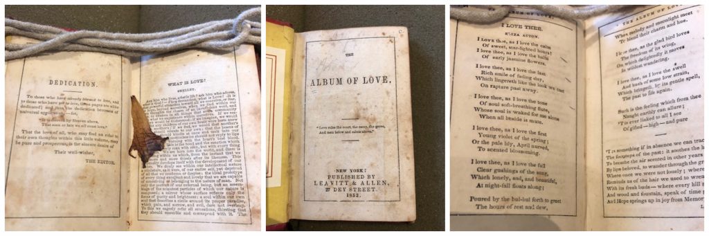 Album of Love removed from the Head Family papers