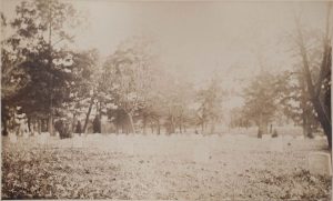 Arlington National Cemetery in November 1883