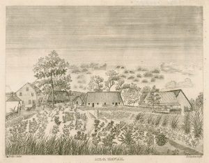 Engraving of Hilo, Hawaii