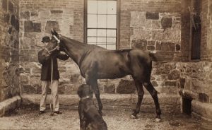 Photo of a man, dog, and horse