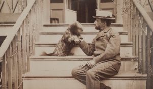 Photo of a man seated on steps with a dog