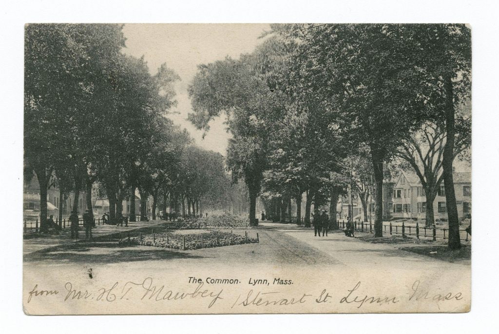 Park with trees and people