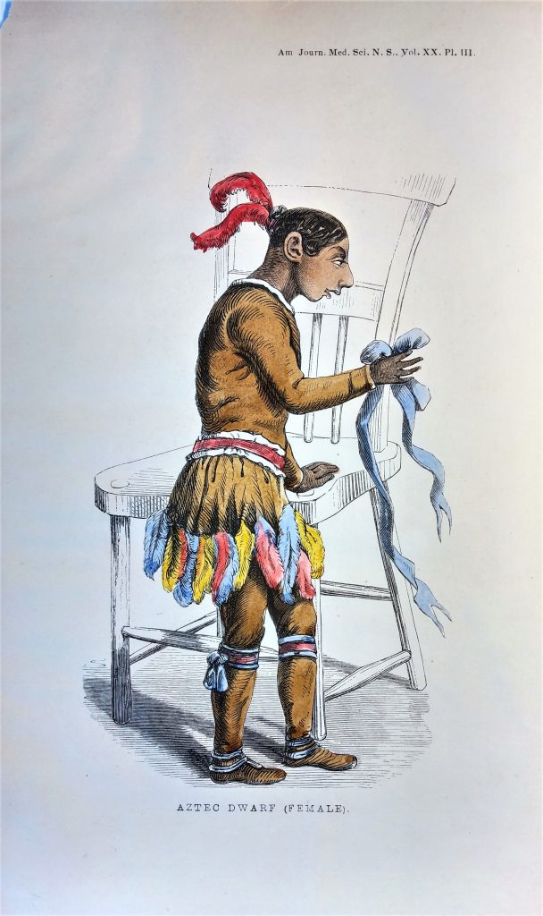 Illustration of Bartola. Her clothing is tan with a feathered skirt and some brightly colored accessories. Her hair is dark and has red feathers in it and she has a small head and body. Also in the picture is a chair, which is comically large compared to her. Underneath is written “Aztec Dwarf (Female).”