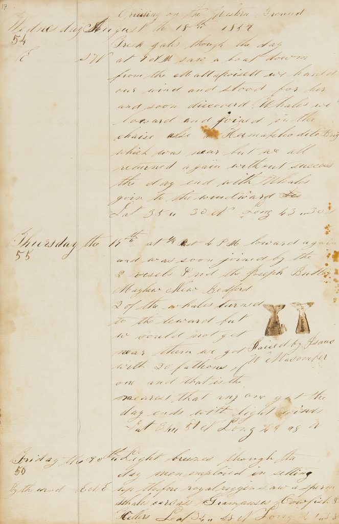 Color photograph of a page discolored with age with brown ink handwriting in a diary format. Halfway down the page are drawings of two whale's tails next to each other. 
