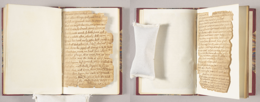 Left: Handwritten manuscript page from Bradford’s Observations bound in 19th century binding against a white background
Right: Handwritten manuscript page from Bradford’s Observations bound in 19th century binding against a white background, rising up from the page when the book is set on its spine.