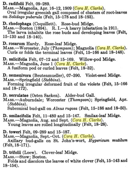 Color photograph of a printed page containing a list of species, identified by their Latin names and followed by brief descriptions. Next to five of the species is the name Cora H. Clarke in parentheses, highlighted in yellow.