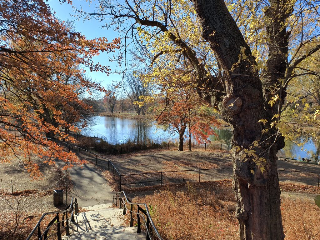 Color photograph of a body of water surrounded by trees in fall colors. There are two large trees in the foreground and stairs on the left leading down to a path with a railing running alongside. On the right next to the water stand a few Canada geese.