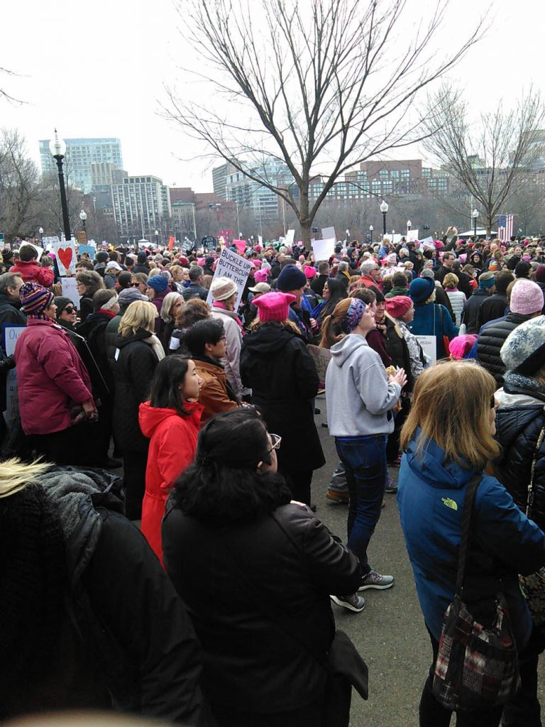 Dense crowd of people is depicted standing on Boston Common.  The people in the image all face to the right as if listening to a speaker. One person holds a sign.