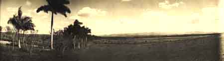 Panorama of Soledad estate, showing the sugar cane fields, Cuba Photograph