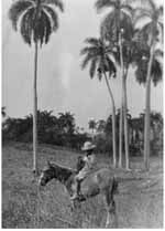 Boy on a pony at the Caledonia estate at Soledad, Cuba Photograph