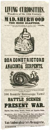 Living Curiosities, Wonders of the 19th Century ... Broadside Living Curiosities, Wonders of the 19th Century ... Broadside