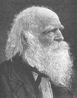 William Cullen Bryant Engraving