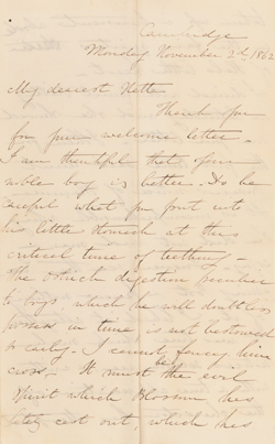 Letter from Elizabeth Sedgwick Child to Henrietta Ellery Sedgwick, 2 November 1862 Manuscript