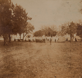 `Camp, 1st N.Y. Engineer near Beaufort` Photograph