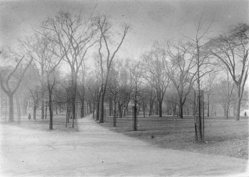 View of part of Boston Common, Boston Lantern slide