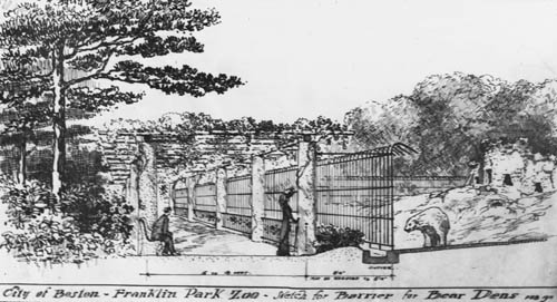 City of Boston, Franklin Park Zoo, Sketch of Barrier for Bear Dens Lantern slide of drawing