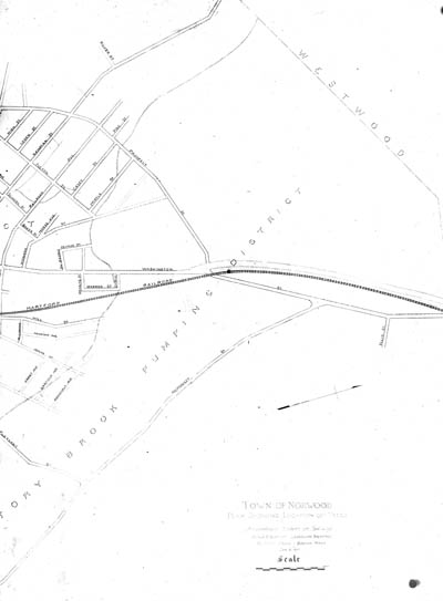 Town of Norwood: Plan Showing Location of Trees Lantern slide of plan