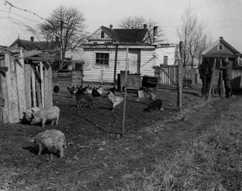 #2 Hampton - cabin, South Carolina Lantern slide