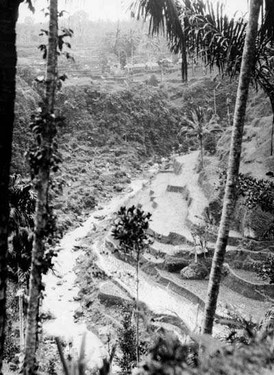 Terraced landscape, Asia Lantern slide