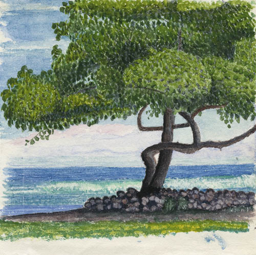 From Tati’s back porch, looking under the [buraw?] tree seaward. [1891] Watercolor on paper