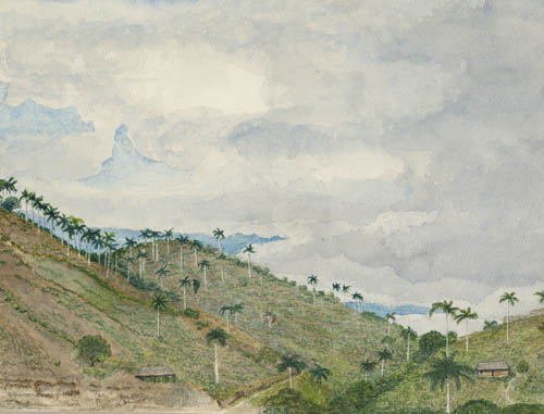 From Dos Bocas, looking up valley, 1894 Watercolor on paper