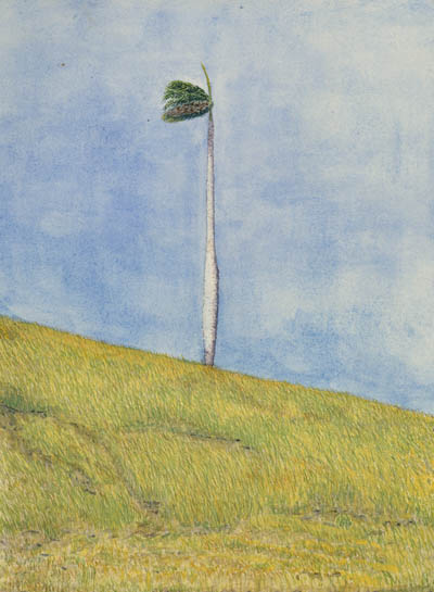 Palm and Wind. Dos Bocas [Cuba], 1894 Watercolor on paper