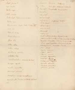 List of crops, vegetables and plants, by Thomas Jefferson 